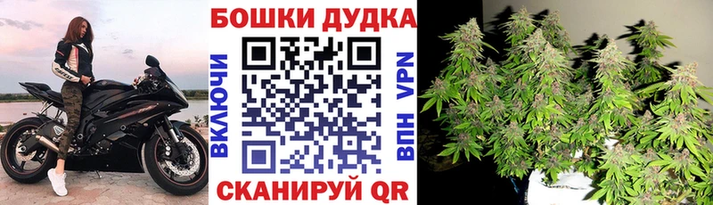 купить  цена  Чекалин  Бошки Шишки гибрид 